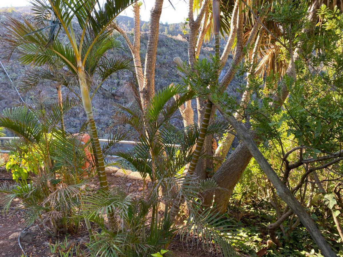 הוילה El Jaral Casa Niagara מראה חיצוני תמונה