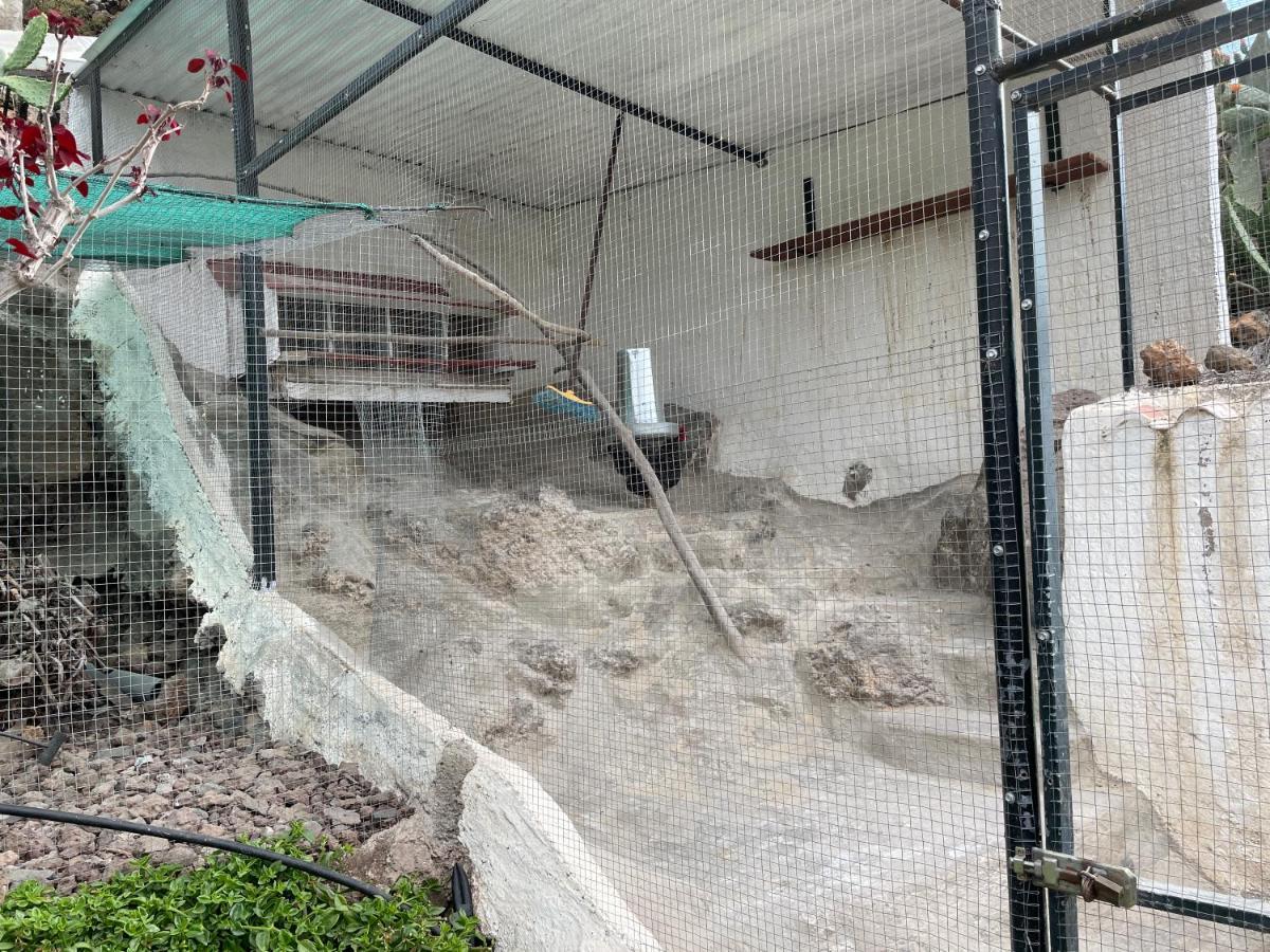 הוילה El Jaral Casa Niagara מראה חיצוני תמונה