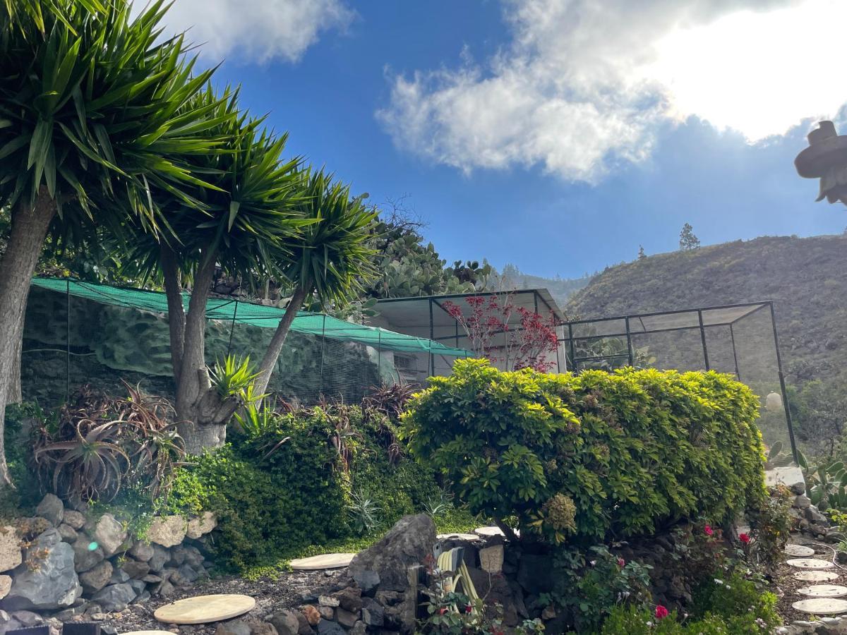הוילה El Jaral Casa Niagara מראה חיצוני תמונה
